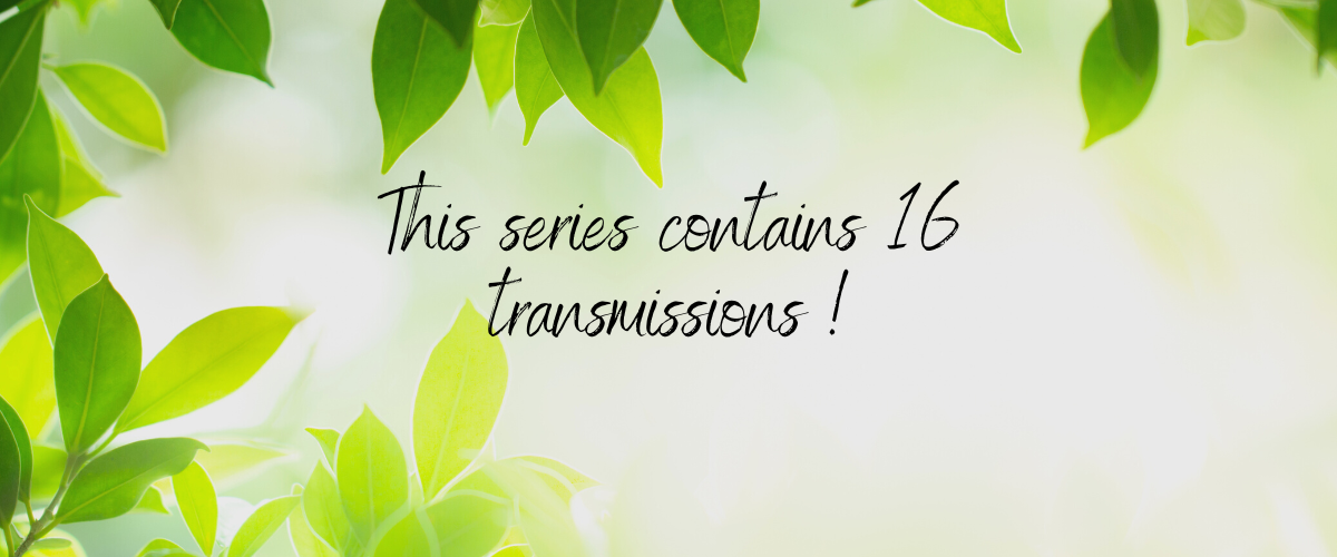 This series contains 17 transmissions (2)